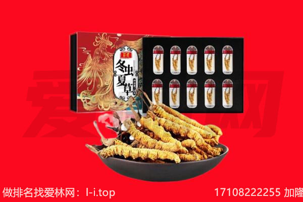 甘孜丹巴县回收虫草.jpg